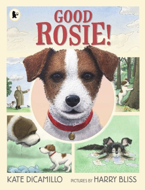 Book cover of: Good Rosie!. By: Kate DiCamillo