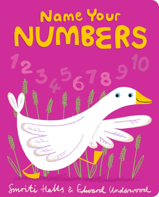 Book cover of: Name Your Numbers