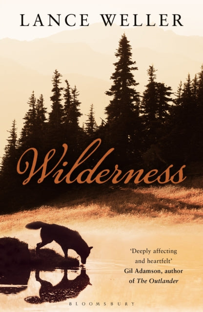 Book cover of: Wilderness. By: Lance Weller