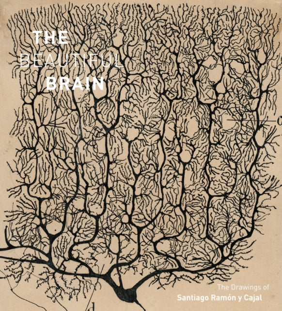 Book cover of: Beautiful Brain