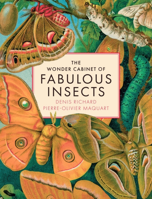 Book cover of: Wonder Cabinet of Fabulous Insects. By: Denis Richard