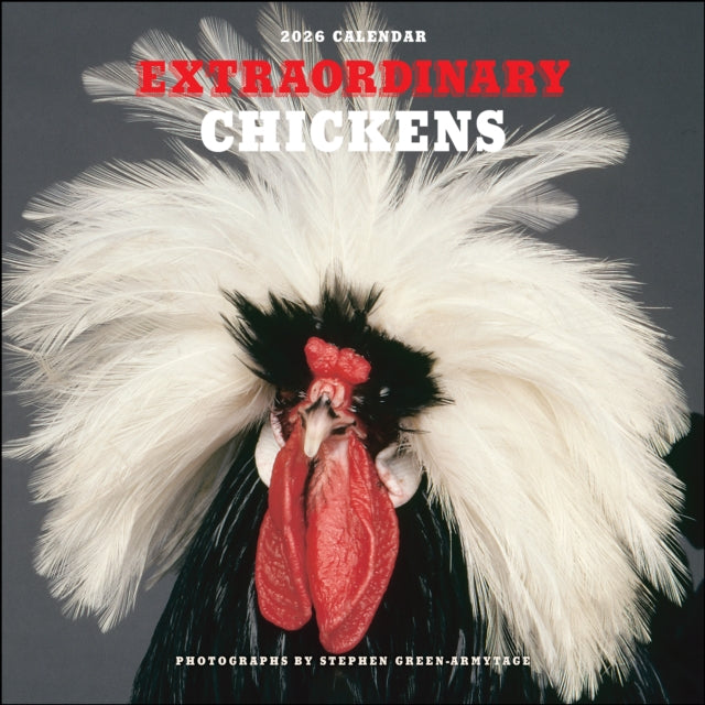 Book cover of: Extraordinary Chickens 2026 Wall Calendar