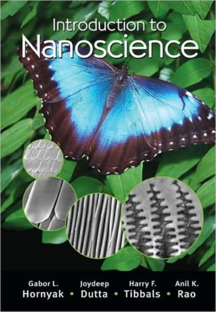 Book cover of: Introduction to Nanoscience. By: G. Louis Hornyak