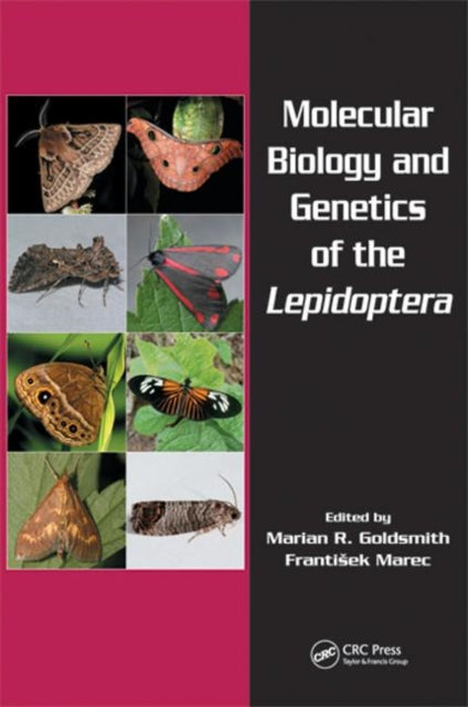 Book cover of: Molecular Biology and Genetics of the Lepidoptera