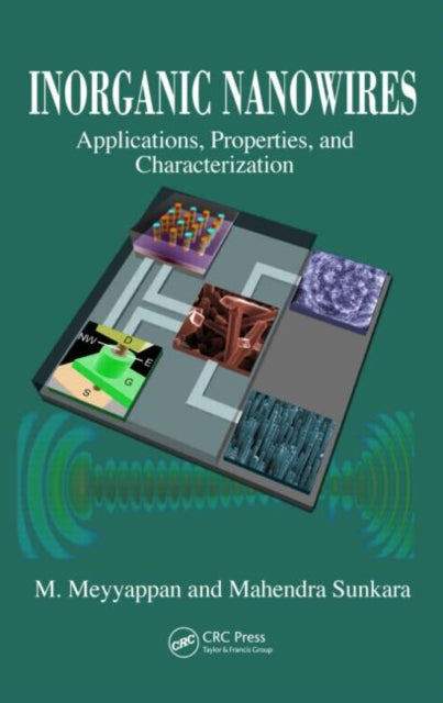 Book cover of: Inorganic Nanowires. By: M. Meyyappan