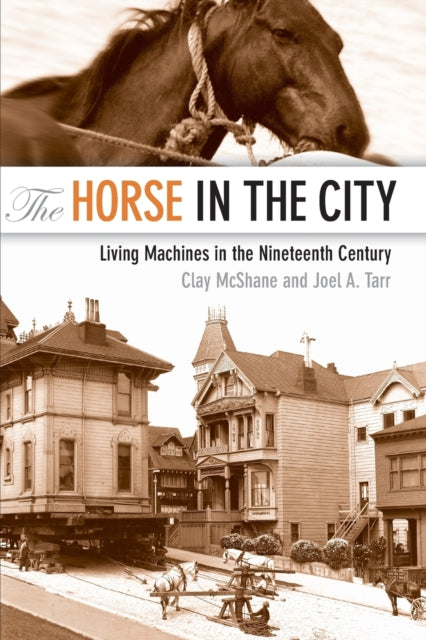 Book cover of: Horse in the City