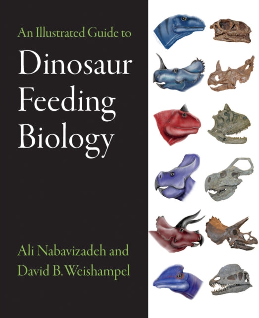 Book cover of: Illustrated Guide to Dinosaur Feeding Biology. By: Ali Nabavizadeh