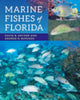 Book cover of: Marine Fishes of Florida. By: David B. Snyder