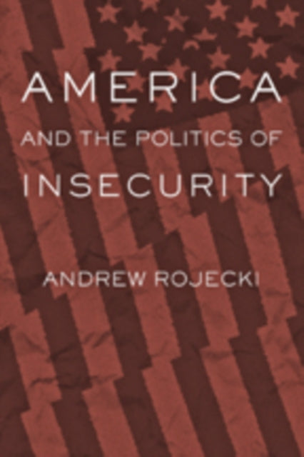 Book cover of: America and the Politics of Insecurity. By: Andrew Rojecki