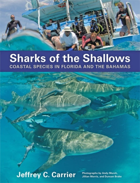 Book cover of: Sharks of the Shallows. By: Jeffrey C. Carrier
