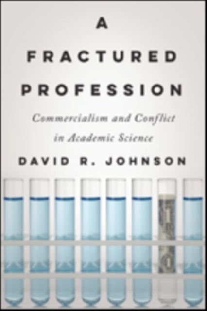 Book cover of: Fractured Profession. By: David R. Johnson