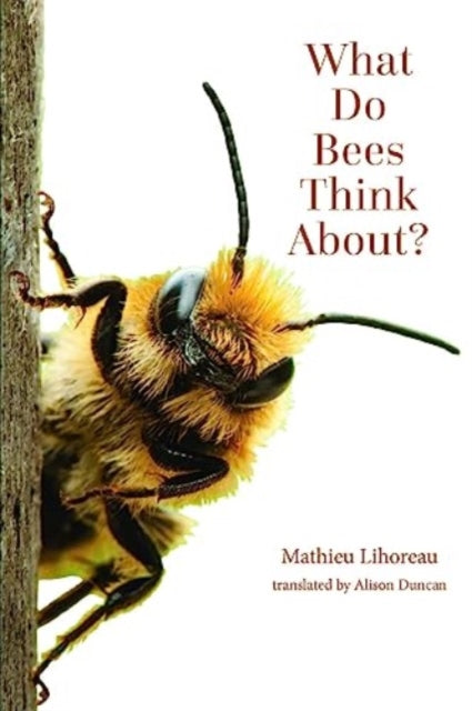Book cover of: What Do Bees Think About?. By: Mathieu Lihoreau