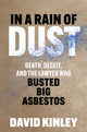 Book cover of: In a Rain of Dust. By: David Kinley