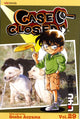Book cover of: Case Closed, Vol. 29. By: 青山 剛昌 [Gōshō Aoyama]