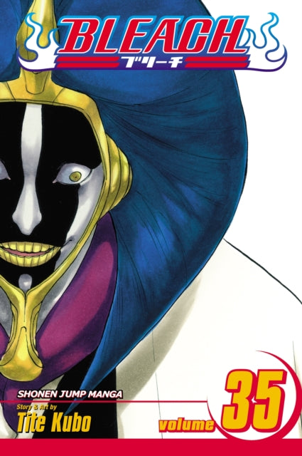 Book cover of: Bleach, Vol. 35