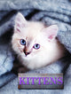 Book cover of: Kittens