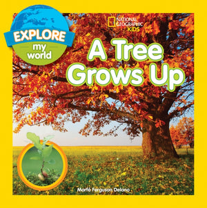 Tree Grows Up
