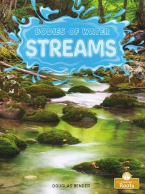 Book cover of: Streams. By: Douglas Bender