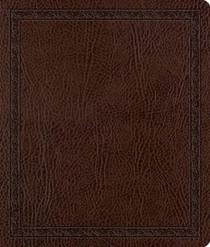 ESV Journaling Bible