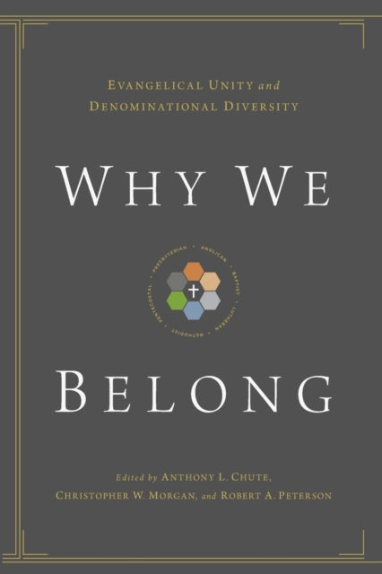 Book cover of: Why We Belong. By: Anthony L. Chute