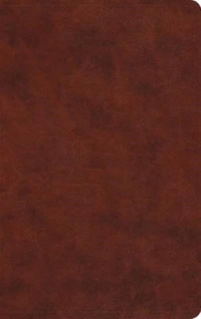Book cover of: ESV Large Print Value Thinline Bible