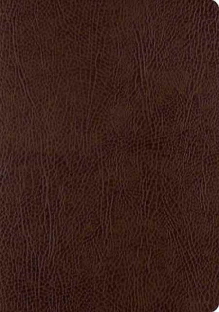 ESV Single Column Journaling Bible, Large Print 9781433555381 ESV Bibles