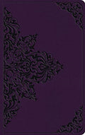 ESV Large Print Value Thinline Bible