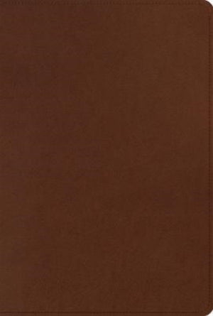 ESV Men's Study Bible