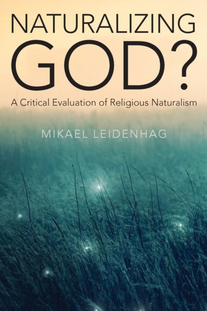 Book cover of: Naturalizing God?. By: MIKAEL LEIDENHAG