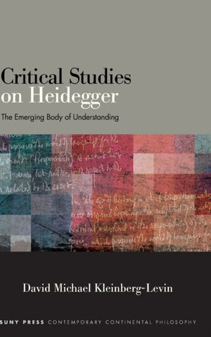 Critical Studies on Heidegger