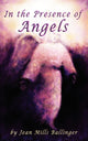 Book cover of: In The Presence of Angels