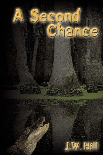 Book cover of: Second Chance