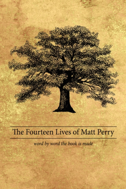 Book cover of: Fourteen Lives of Matt Perry