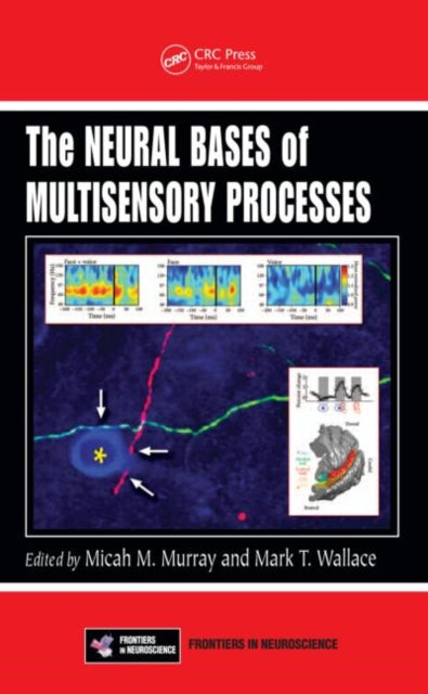 Book cover of: Neural Bases of Multisensory Processes. By: M. M. Murray