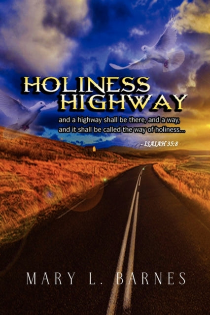 Book cover of: Holiness Highway