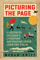 Book cover of: Picturing the Page. By: Megan Swift