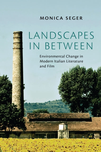 Book cover of: Landscapes in Between. By: Monica Seger