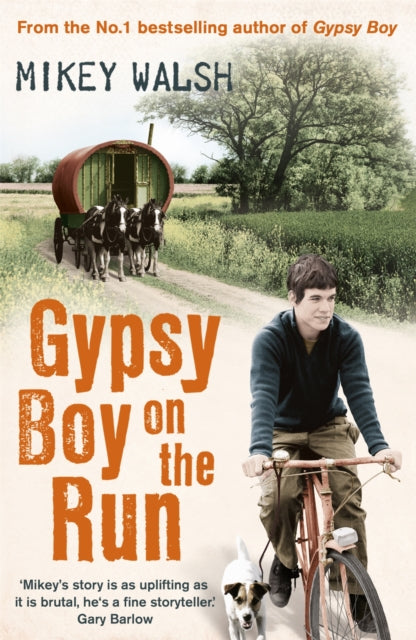 Book cover of: Gypsy Boy on the Run