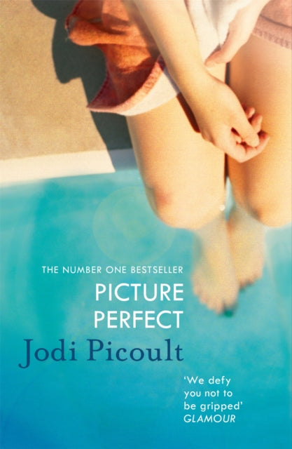 Book cover of: Picture Perfect. By: Jodi Picoult