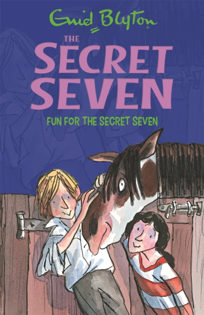 Secret Seven: Fun For The Secret Seven