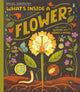 What's Inside a Flower?, And other questions about science and nature 9781444976717 Rachel Ignotofsky