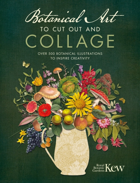 Book cover of: Botanical Art to Cut out and Collage. By: Royal Botanic Gardens, Kew