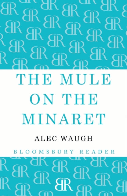 The Mule on the Minaret