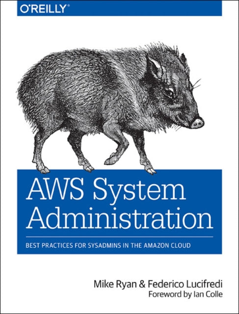Book cover of: AWS System Administration. By: Mike Ryan