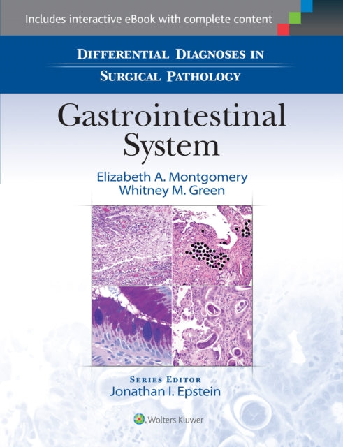 Book cover of: Differential Diagnoses in Surgical Pathology: Gastrointestinal System. By: Elizabeth A. Montgomery