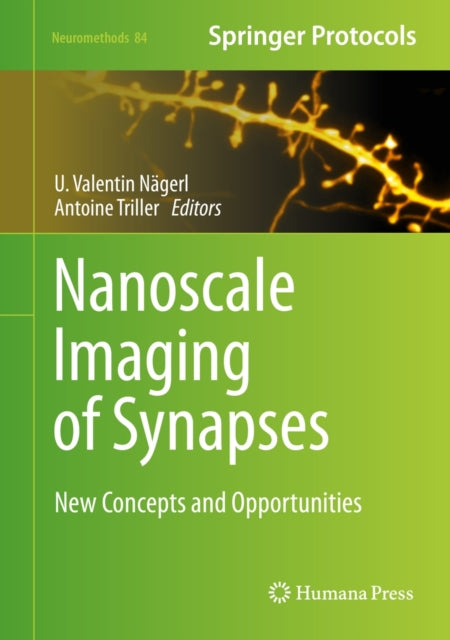 Book cover of: Nanoscale Imaging of Synapses. By: U. Valentin Nägerl