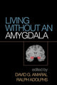 Book cover of: Living without an Amygdala. By: David G. Amaral