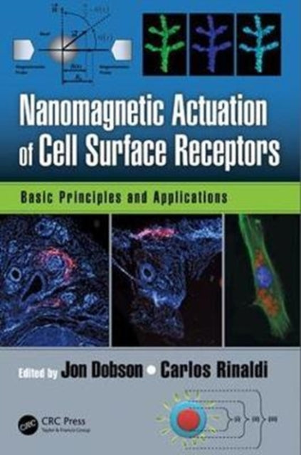 Book cover of: Nanomagnetic Actuation in Biomedicine. By: Jon Dobson