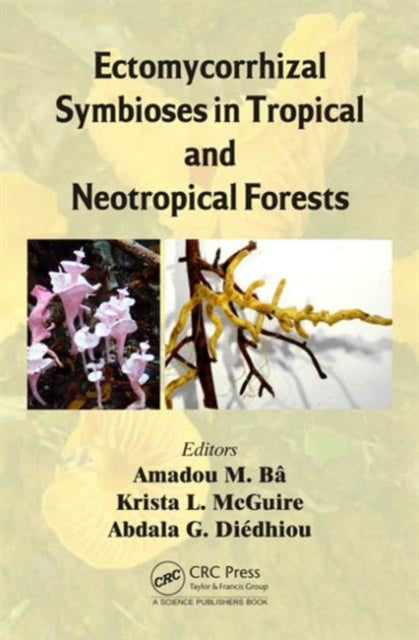 Book cover of: Ectomycorrhizal Symbioses in Tropical and Neotropical Forests. By: Amadou M. Bâ