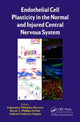 Book cover of: Endothelial Cell Plasticity in the Normal and Injured Central Nervous System. By: Esperanza Meléndez Herrera